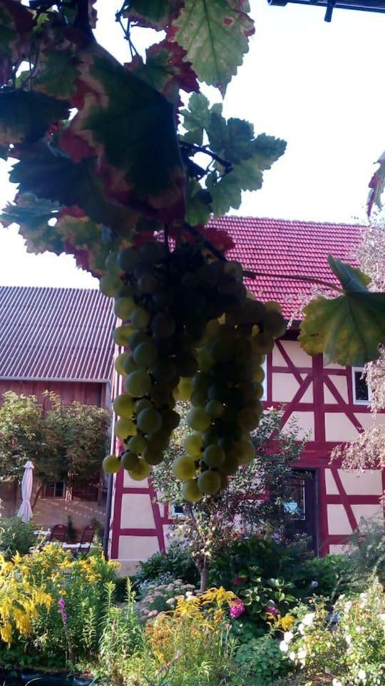 Haselbachstrasse 6 Apartman Ebensfeld Kültér fotó